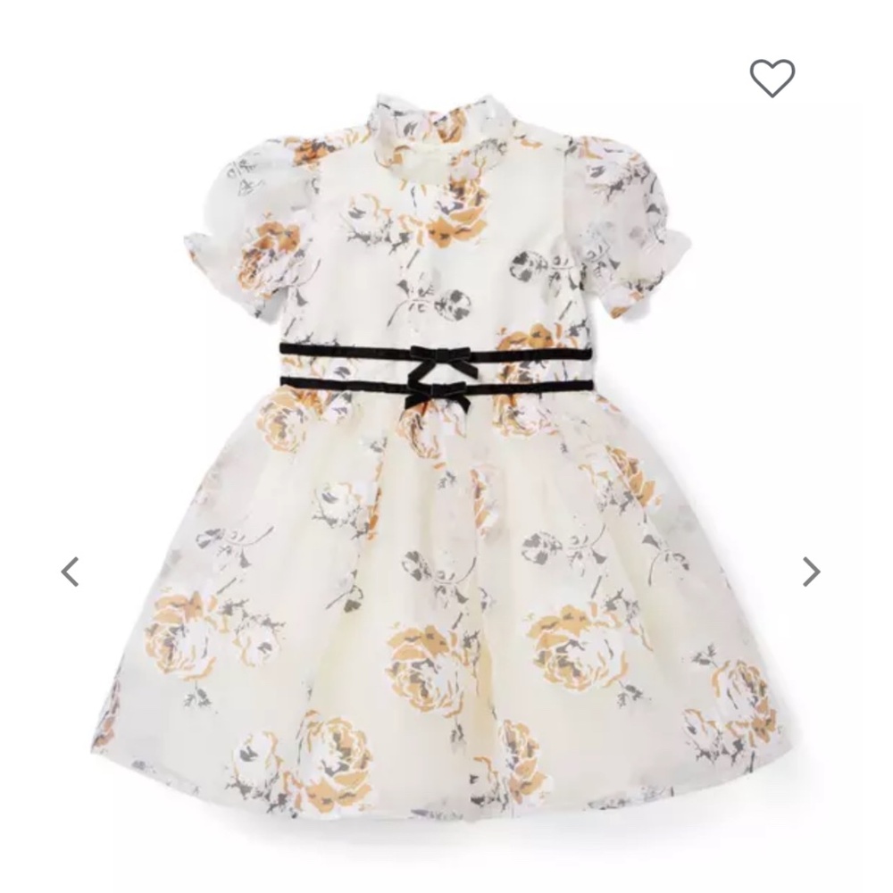 Janie and Jack winter rose dress